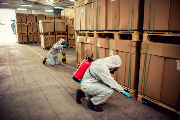 Best Exterminator Services  in Belleville, KS