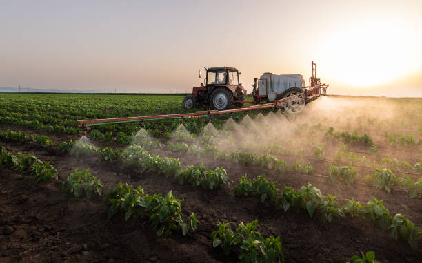 Best Ant Control Services  in Belleville, KS