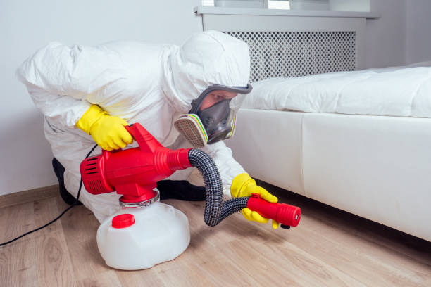 Best Pest Removal Services  in Belleville, KS