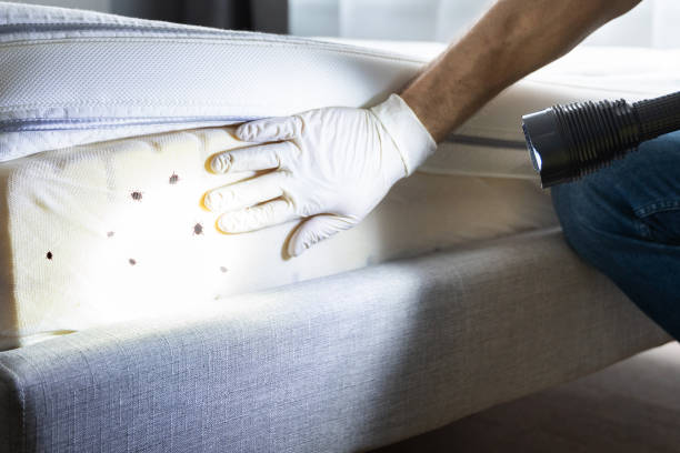 Best Mosquito Control Services  in Belleville, KS