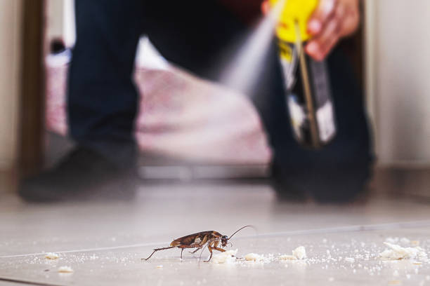 Best Insect Control  in Belleville, KS